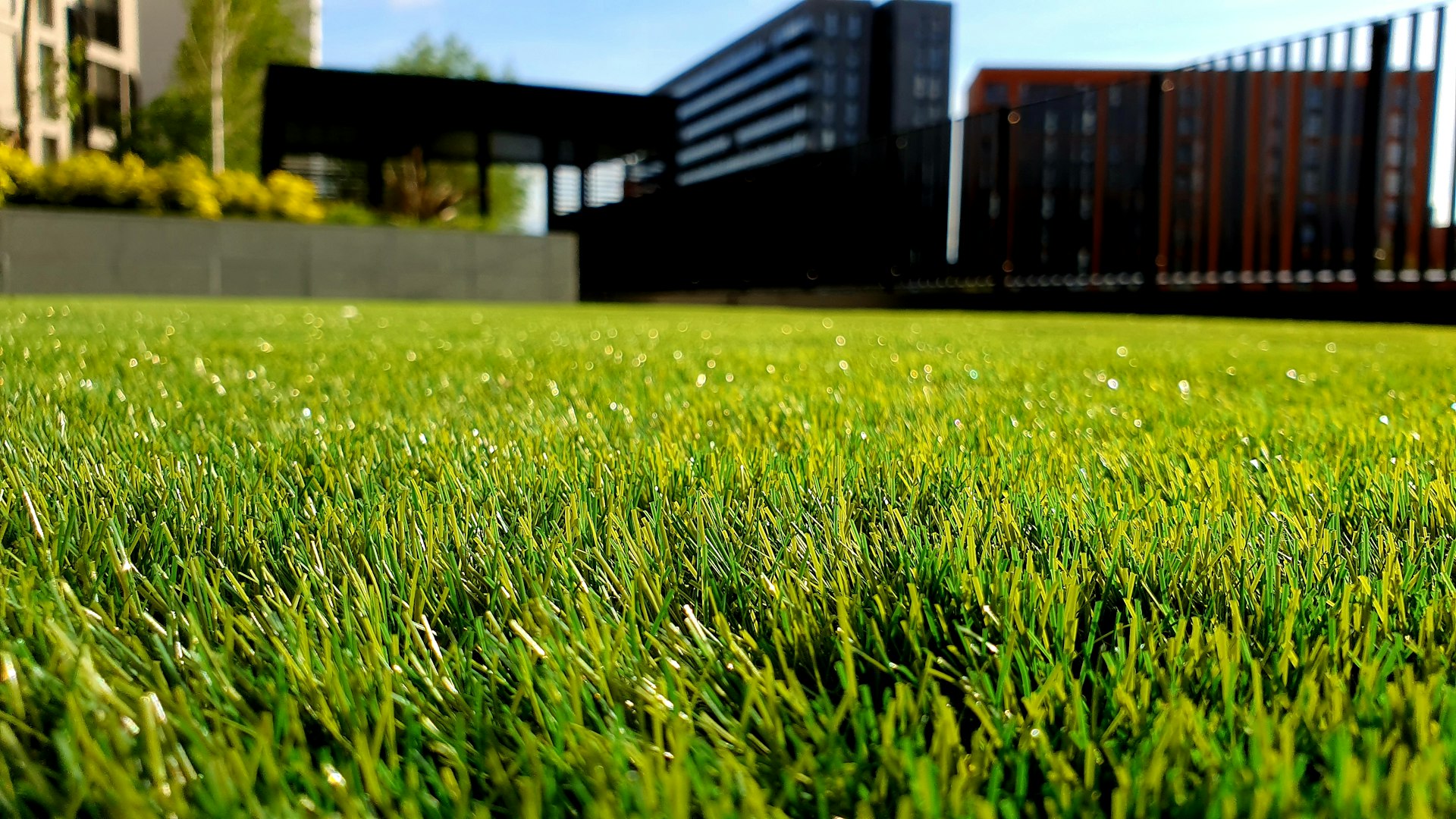Jardin paysager verdoyant