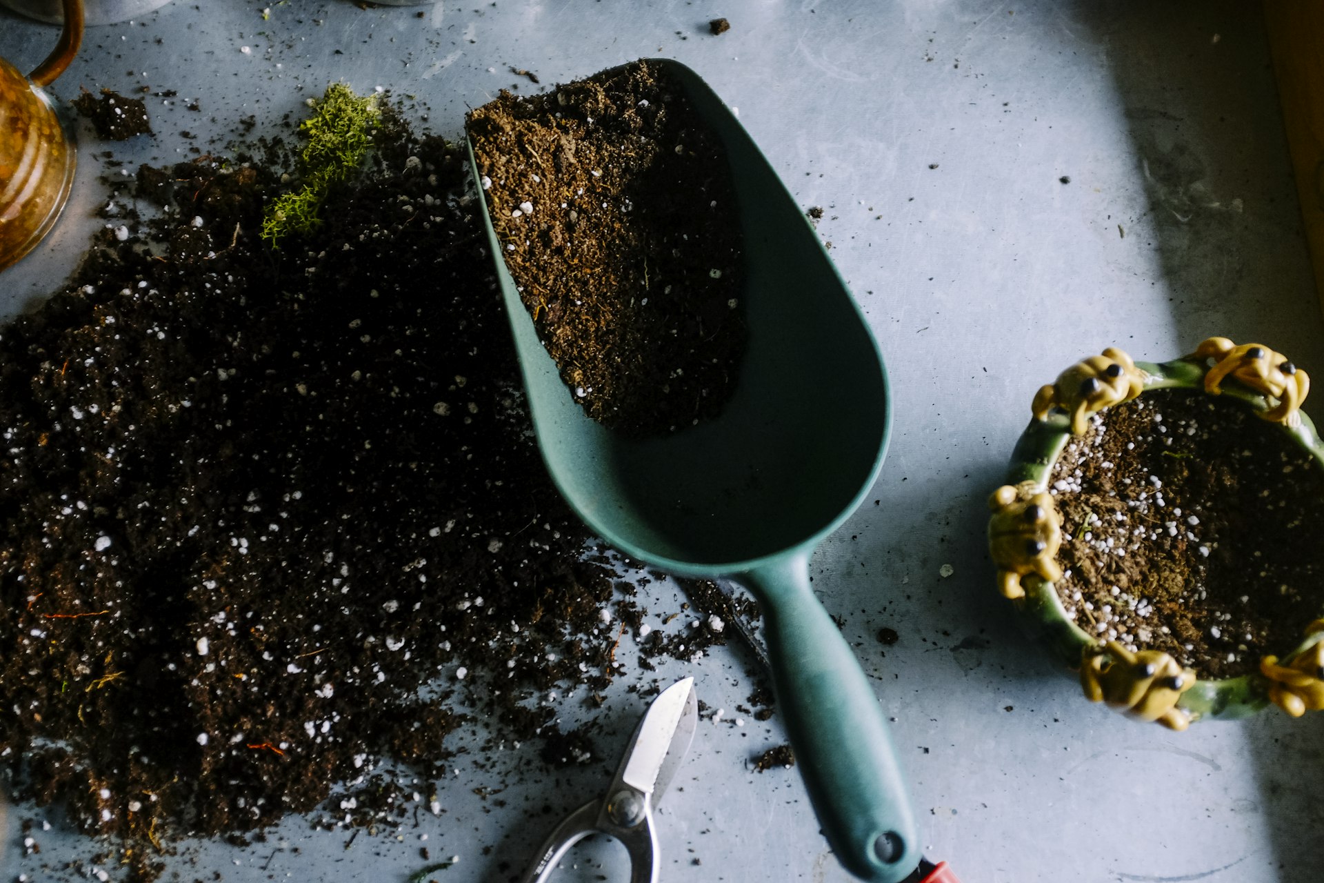 Outils de jardinage et terre