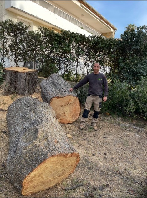 Thomas Garcia, paysagiste, sur un chantier d’abattage
